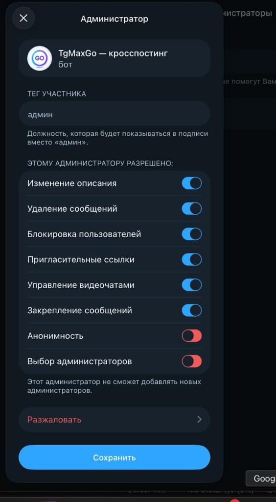 Экран прав администратора бота TgMaxGo: пункт «Анонимность»